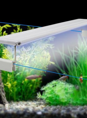 Luz de acuario blanca y azul de alto brillo, 18-48cm, enchuf