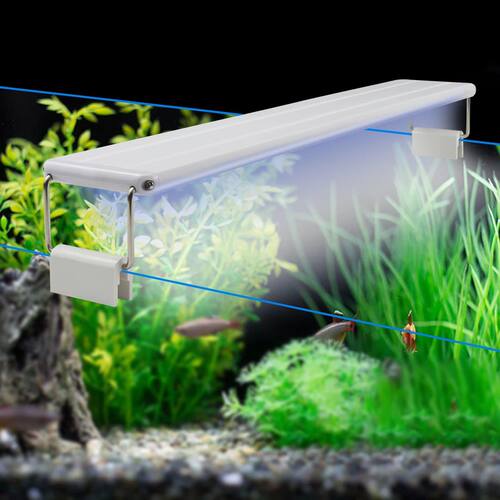 Luz de acuario blanca y azul de alto brillo, 18-48cm, enchuf