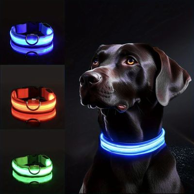 Collar de perro LED reflectante para seguridad nocturna, dur