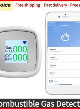Alarma de Detector de Gas Combustible Digital, instrumento d