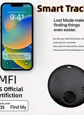 Minirrasador GPS MFI, localizador inteligente iTag para llav