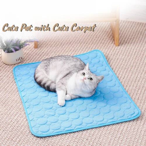 Summer Cooling Ice Silk Pet Pad Couch Floor Mat for Dogs Cat