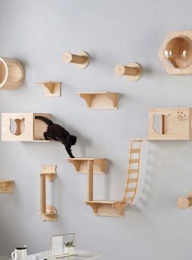 Conjunto de prateleira de escalada de parede para gatos, esc