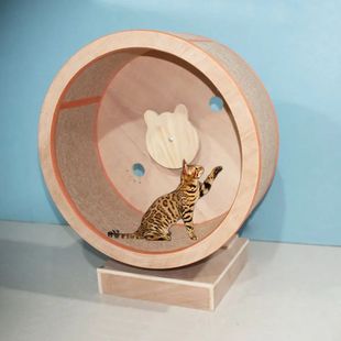 Solid Wood Cat Climbing Frame, Scratch Treadmill, Scratcher