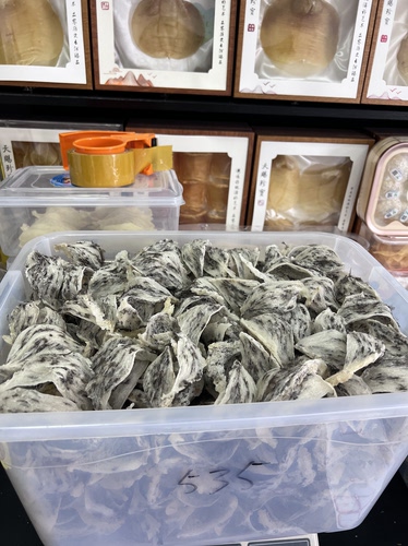 重毛燕窝盏条100克399包邮