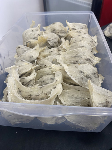 燕窝土豪大盏孕妇燕窝100克680包邮