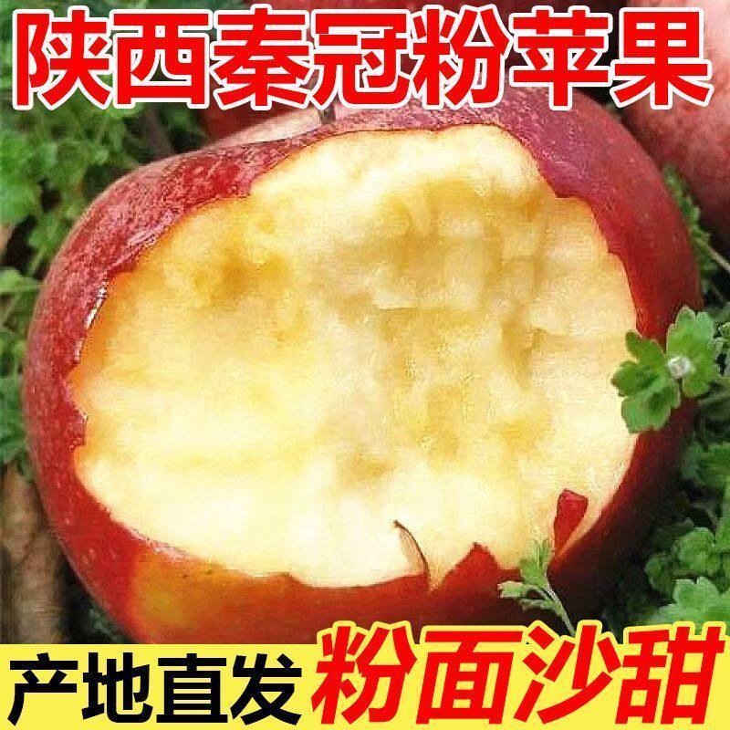 【粉面沙甜】陕西秦冠苹果水果新鲜宝宝辅食刮泥一整箱非红香蕉