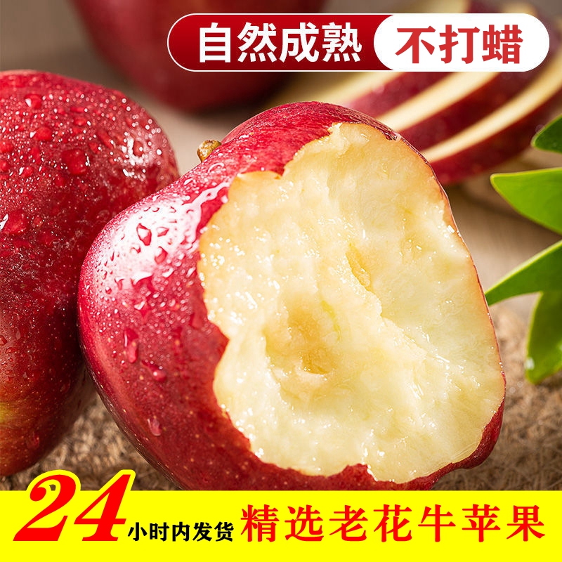 粉面沙甜天水花牛苹果宝宝刮泥吃