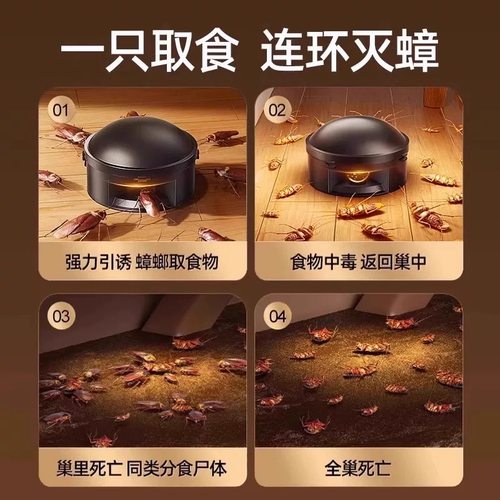 日本蟑螂药家用一窝全窝端厨房