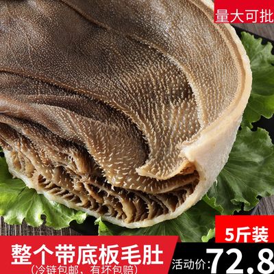 带底板毛肚5斤装新鲜食材牛百叶整块冷冻牛肚火锅麻辣烫商用包邮