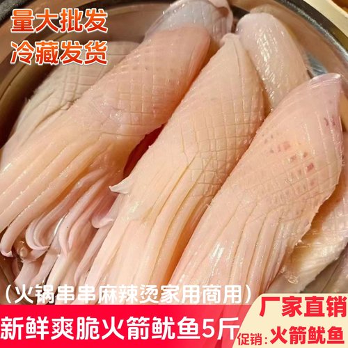 鲜活火箭鱿鱼冷冻烧烤火锅食材