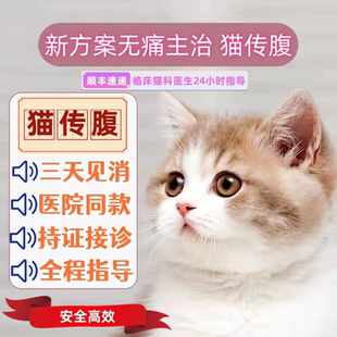 猫传腹干性湿性肚子大腹水食欲低7年老店片剂油剂源头正品救助价