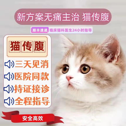 猫传腹干性湿性肚子大腹水食欲低7年老店片剂油剂源头正品救助价