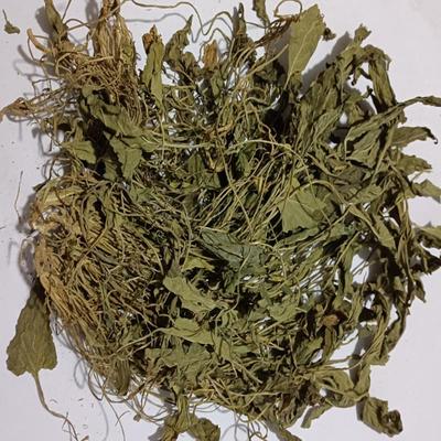 贵州纯野生紫花地丁中药材苦地丁草茶干野堇菜小鸡菜干货散装500g