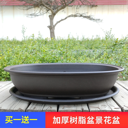 盆景专用花盆椭圆形树脂塑料盆多肉绿植透气家用仿紫砂陶瓷特大号