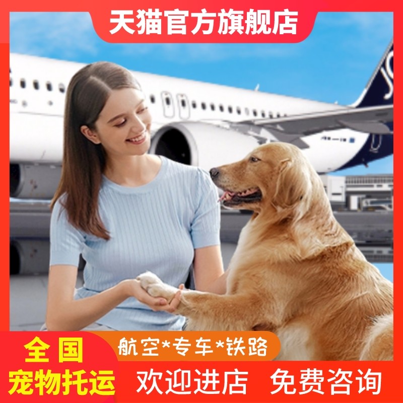 宠物托运服务全国猫狗北京上海广州深圳空运专车运输国际快递邮寄