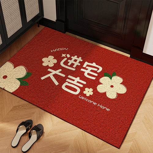 新款玄关丝圈门口地垫进