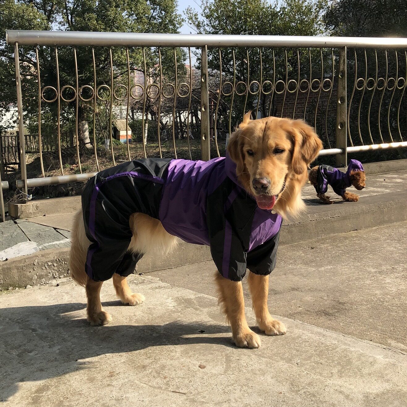 厂家直销宠物服装大狗