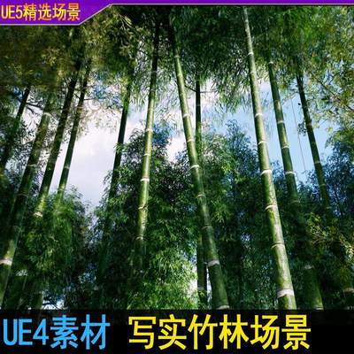 ue4虚幻UE5 竹林场景写实竹子直筒毛竹3D模型环境素材