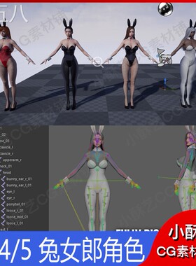 UE4虚幻5兔女郎角色女性人物模型带骨骼绑定动画动作源文件A146