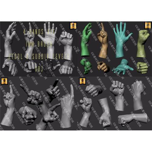 zbrush写实精细男性手部手势Blender手部姿势握拳3d模型zb雕刻OBJ