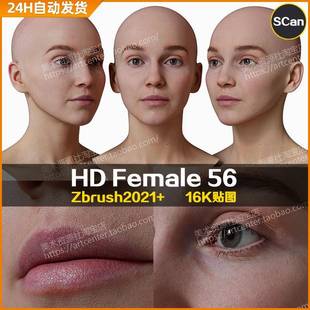 3DScan store/Ten24写实高清扫描模型ZBrush女性头部HD Female 56