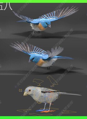 Blender蓝鹀鸟写实鸟类动画3D模型 Lazuli Bunting Bird Animated