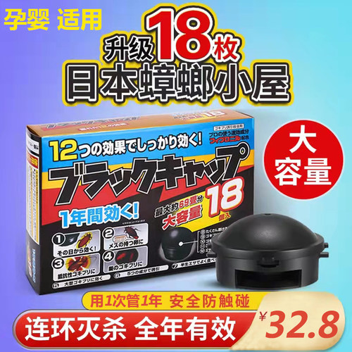 日本大蟑螂多少钱 日本大蟑螂价格 小麦优选