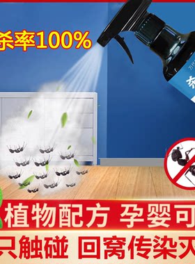 杀蚂蚁药家用室内杀灭蚂蚁窝端全