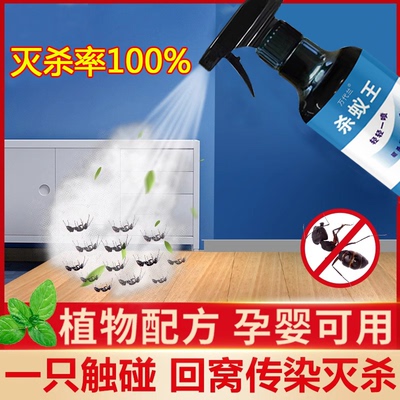 杀蚂蚁药全窝端家用室内杀灭蚂蚁