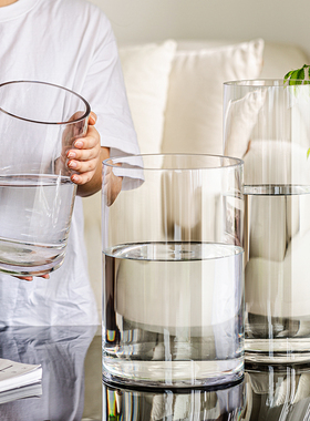 花瓶摆件客厅插花玻璃高级感透明直筒水养水培郁金香富贵竹专用大