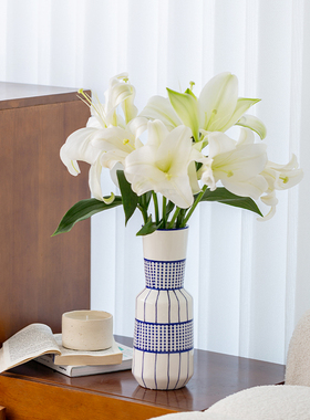 陶瓷花瓶摆件客厅插花轻奢新中式高级感白色复古小众水培百合装饰