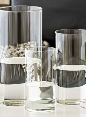 花瓶摆件客厅插花透明玻璃直筒高级感水养富贵竹马醉木专用落地大