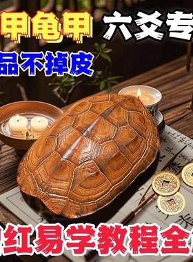 速发乌龟壳真龟工文玩六爻摇甲卦具乾隆铜钱手把件摆件