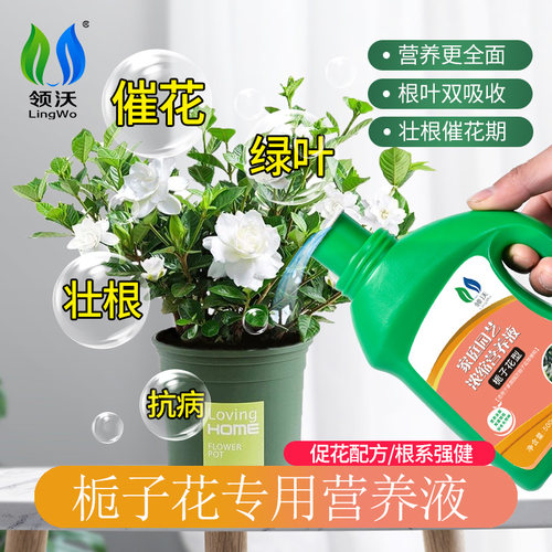 速发栀子花肥料专用肥营开液盆栽植物性花通用型土培水培家用酸养
