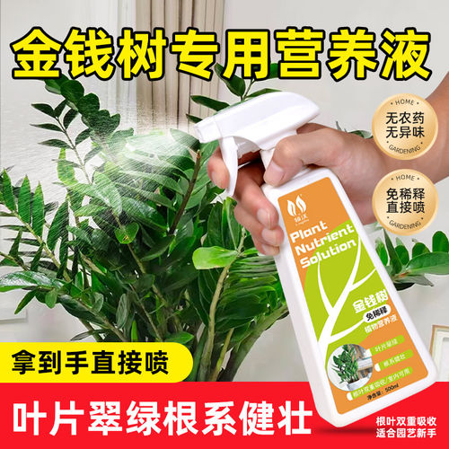 速发金钱树专用营养液免稀释生长促进营卉补充根系花养盆栽绿植专