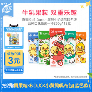 芦荟 椰果 黄桃味牛奶饮品12盒 草莓 真果粒xB.Duck小黄鸭蓝莓