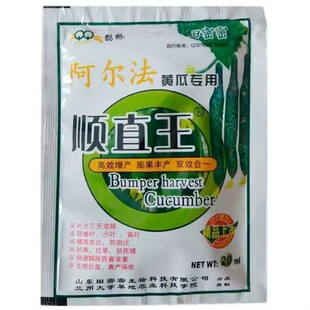 黄瓜顺直王阿尔法黄瓜拉长拉直顶花带刺防畸形丝瓜保花保果