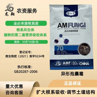 am菌剂北京金必来菌根真菌微生物菌剂内生菌根菌生根寄生共存体改