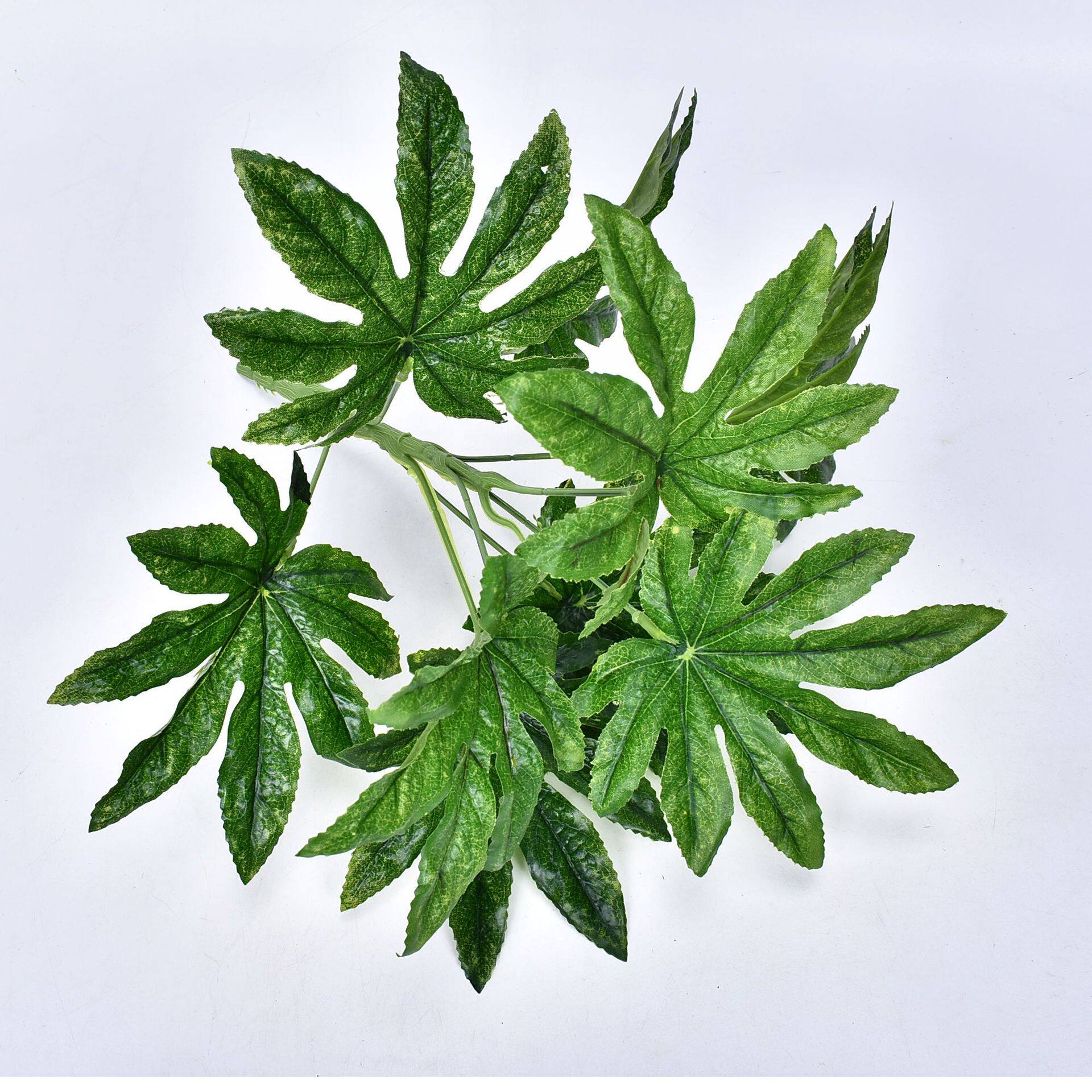 大叶子绿植盆栽背景墙插