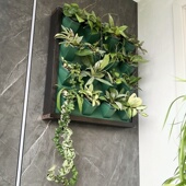 墙上立体相框挂墙挂壁绿萝花架天台阳台自动吸水免打孔壁挂花盆