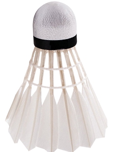 训练比赛用球 优质鹅毛拉直稳定耐打羽毛球12只装 马迪克