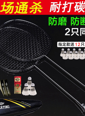 官方旗舰店正品N500羽毛球拍全碳素碳纤维套装碳素纤维均衡型