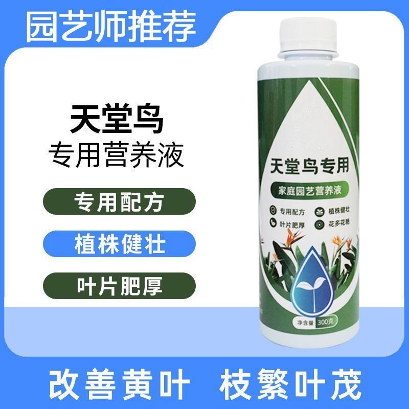 天堂鸟肥料专用营养液家用盆栽营