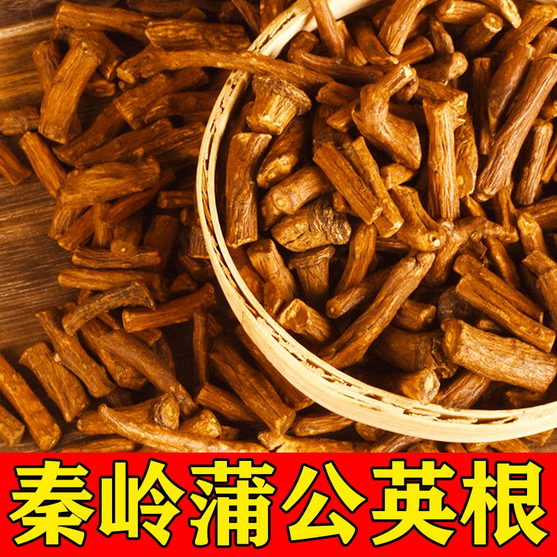 野生蒲公英根秦岭2024新货名贵中药材农家自产蒲公英根可泡水煲汤