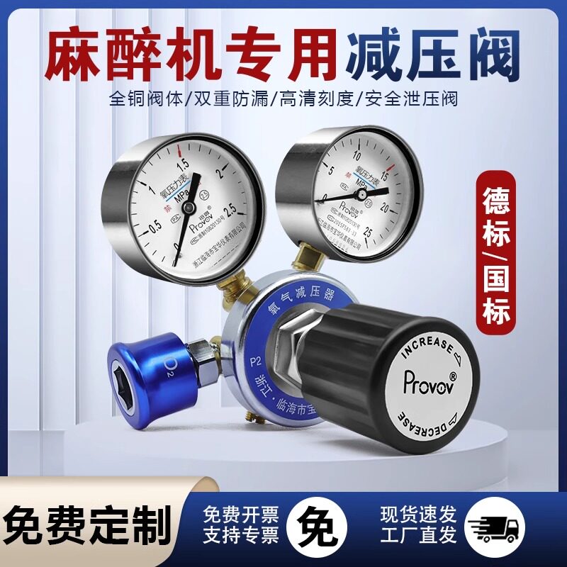 铂唯全铜德标国标氧气减压阀医院专用管道供气吸氧减压器精密压力