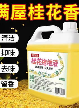 桂花香木地板瓷砖留香液清洁剂家用拖地花露水专用清洁液神器速干