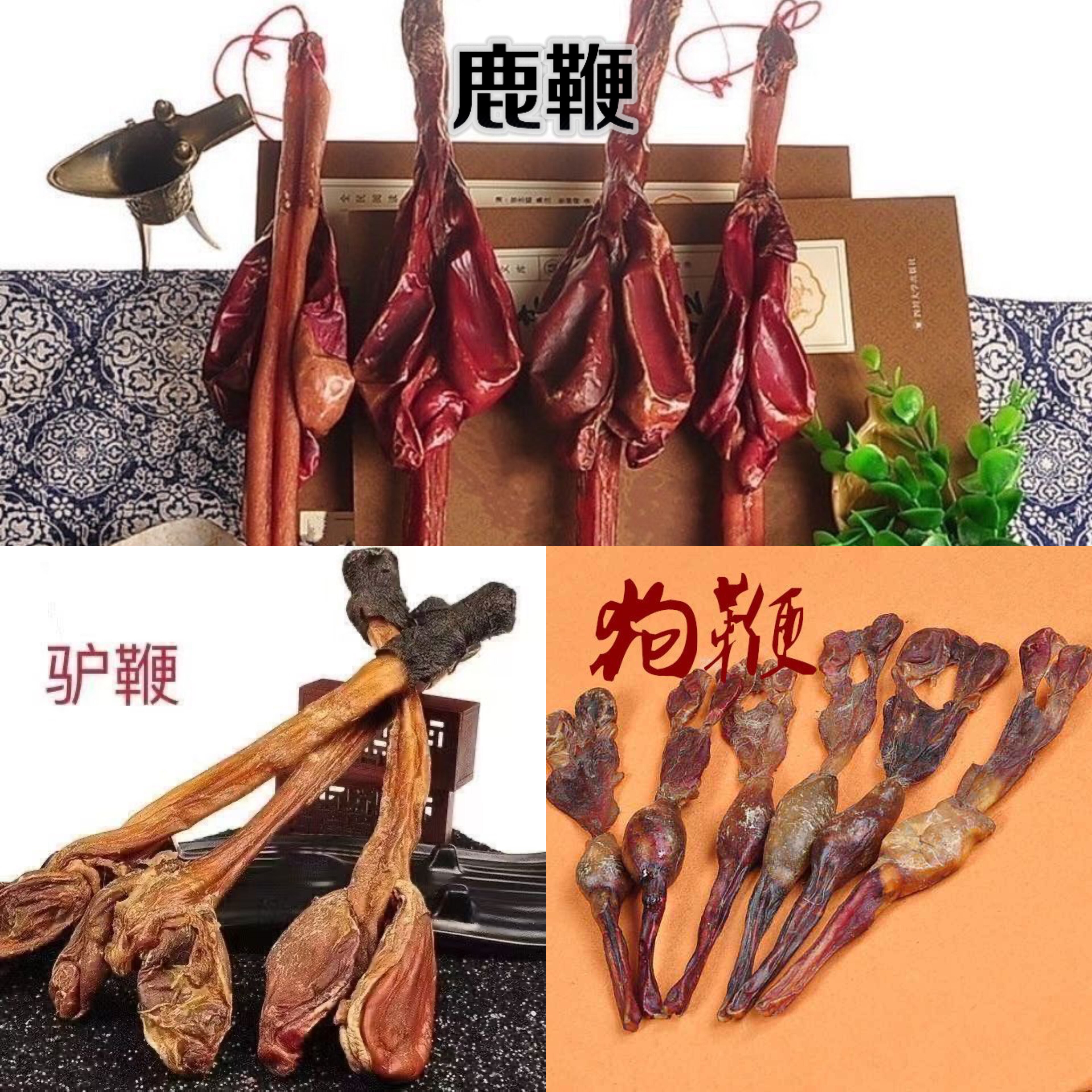 正品三鞭酒泡酒料中药材 枸杞 驴鞭 狗鞭 鹿鞭泡酒药材补虚