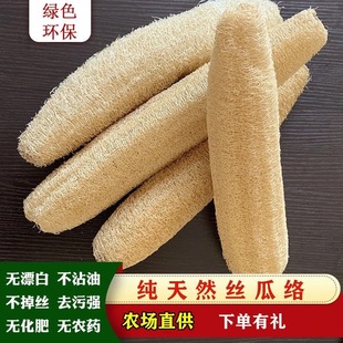 丝瓜络洗碗洗沾油刷锅洗澡百洁布天然老瓜瓤干丝瓜筋