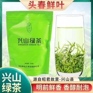 2025种山人兴山昭君绿茶炒青特级雨前春季富硒办公袋装新鲜